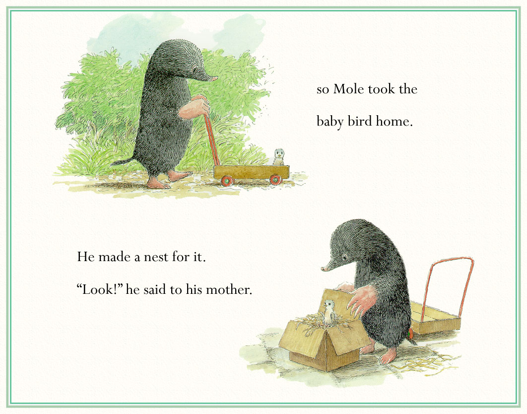 moleandthebabybird (04),绘本,绘本故事,绘本阅读,故事书,童书,图画书,课外阅读
